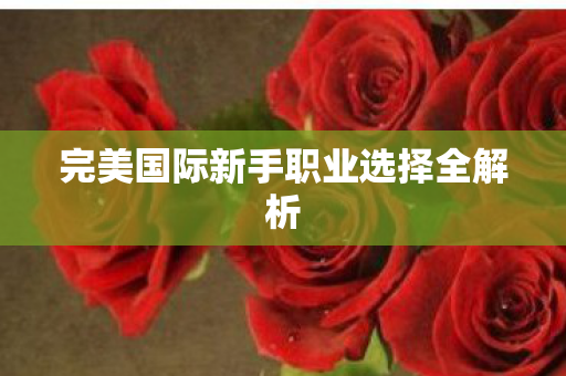 完美国际新手职业选择全解析图片
