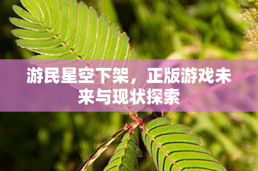 正版游戏未来与现状探索图片