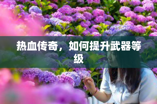如何提升武器等级图片