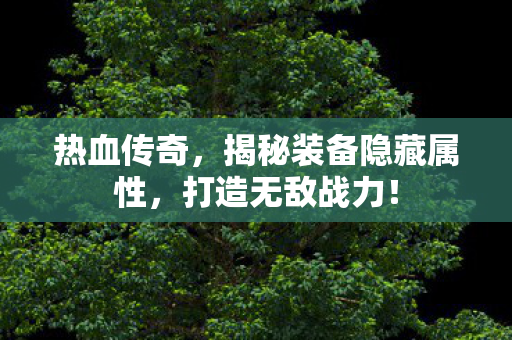 揭秘装备隐藏属性图片