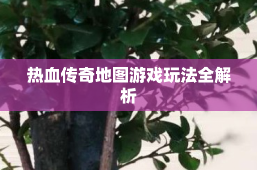 热血传奇地图游戏玩法全解析图片