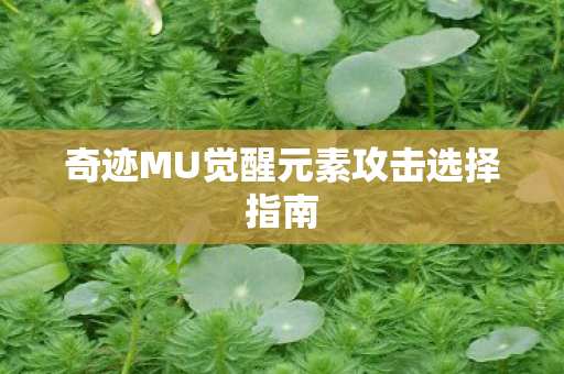 奇迹MU觉醒元素攻击选择指南图片