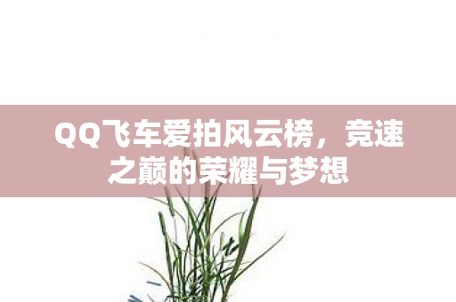 竞速之巅的荣耀与梦想图片