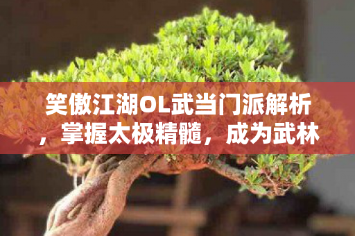 笑傲江湖OL武当门派解析图片