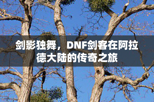 DNF剑客在阿拉德大陆的传奇之旅图片
