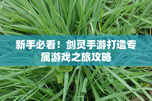 剑灵手游打造专属游戏之旅攻略图片