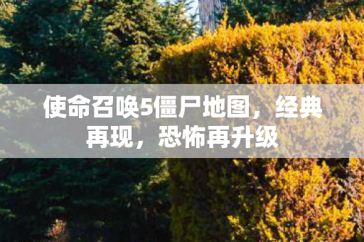使命召唤5僵尸地图图片