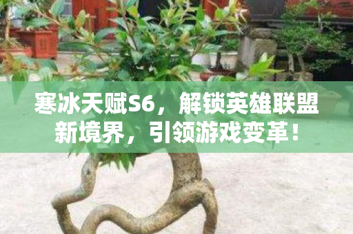 解锁英雄联盟新境界图片