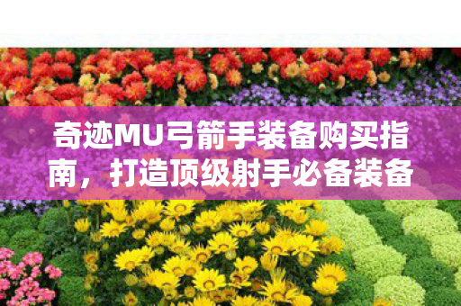 奇迹MU弓箭手装备购买指南图片