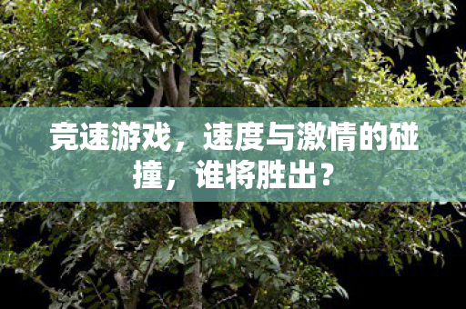 速度与激情的碰撞图片