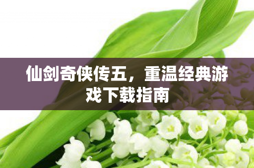 重温经典游戏下载指南图片