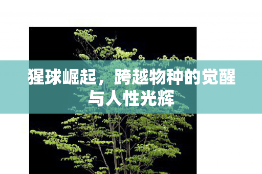 跨越物种的觉醒与人性光辉图片