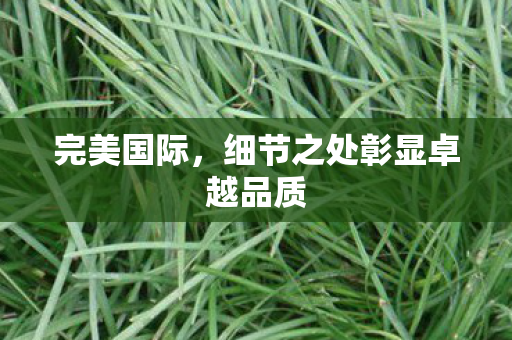 细节之处彰显卓越品质图片