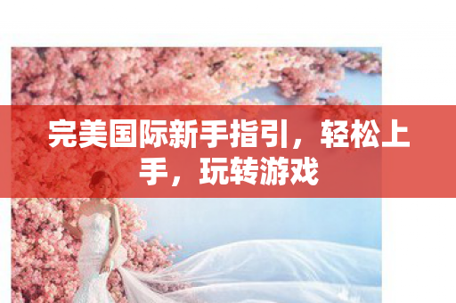 完美国际新手指引图片