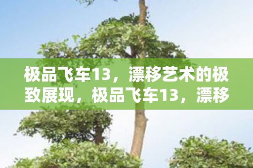 漂移艺术的极致展现图片