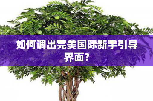 如何调出完美国际新手引导界面图片