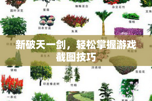 轻松掌握游戏截图技巧图片