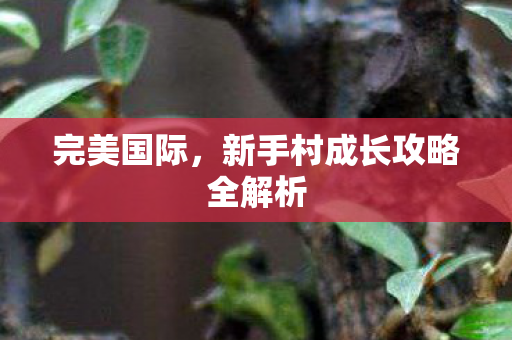 新手村成长攻略全解析图片