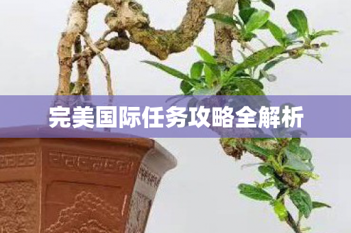 完美国际任务攻略全解析图片