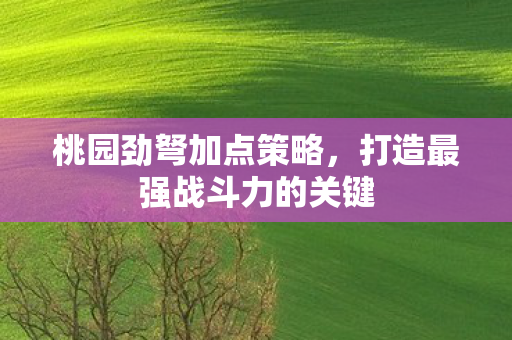 打造最强战斗力的关键图片