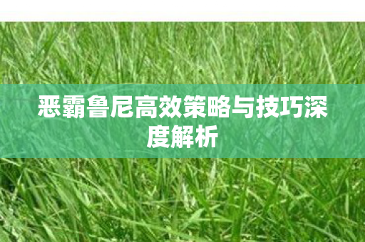 恶霸鲁尼高效策略与技巧深度解析图片