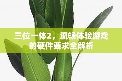 流畅体验游戏的硬件要求全解析图片