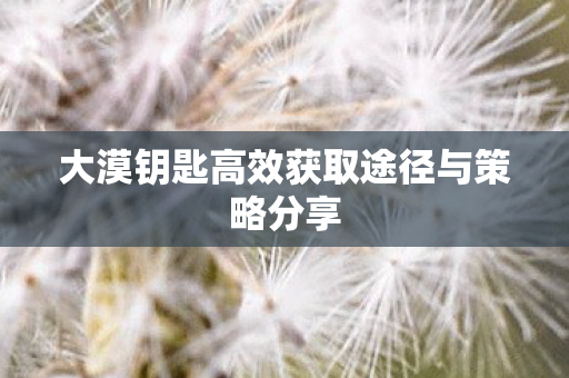 大漠钥匙高效获取途径与策略分享图片