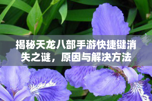揭秘天龙八部手游快捷键消失之谜图片