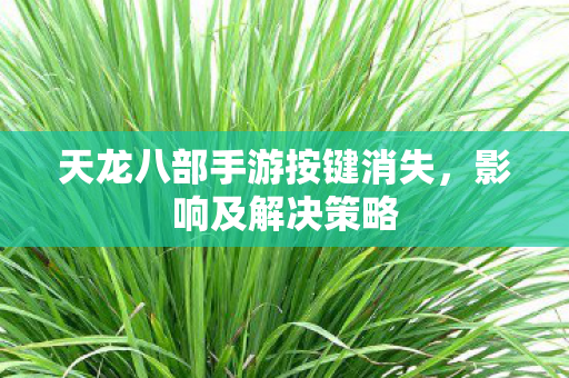 天龙八部手游按键消失图片