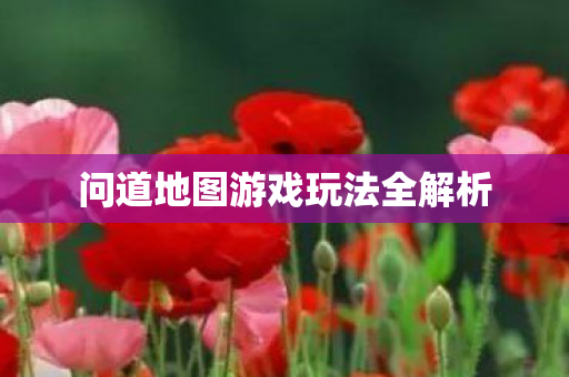 问道地图游戏玩法全解析图片