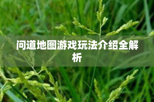 问道地图游戏玩法介绍全解析图片
