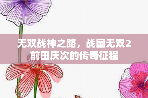 战国无双2前田庆次的传奇征程图片