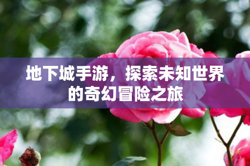 探索未知世界的奇幻冒险之旅图片
