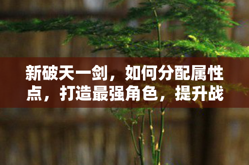 如何分配属性点图片