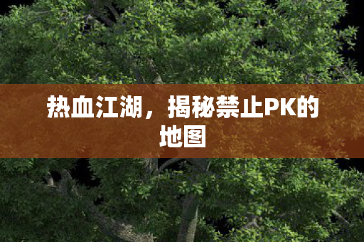 揭秘禁止PK的地图图片