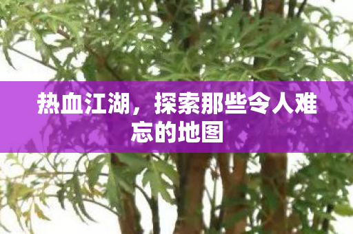 探索那些令人难忘的地图图片
