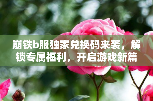 崩铁b服独家兑换码来袭图片
