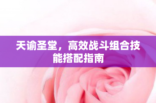 高效战斗组合技能搭配指南图片