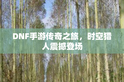 DNF手游传奇之旅图片