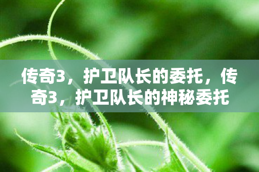 传奇3,护卫队长的委托,传奇3,护卫队长的神秘委托 传奇3,护卫队长的委托,传奇3,护卫队长的神秘委托