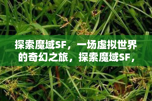 探索魔域SF,一场虚拟世界的奇幻之旅,探索魔域SF,奇幻之旅的虚拟世界 探索魔域SF,一场虚拟世界的奇幻之旅,探索魔域SF,奇幻之旅的虚拟世界