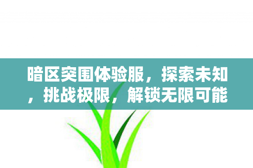 暗区突围体验服,探索未知,挑战极限,解锁无限可能 暗区突围体验服,探索未知,挑战极限,解锁无限可能
