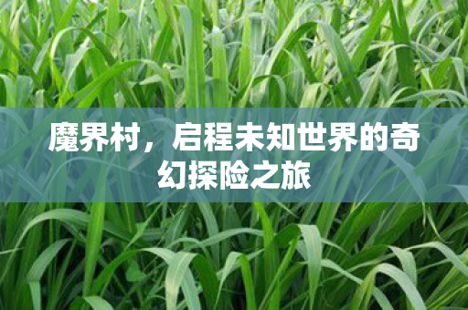 魔界村，启程未知世界的奇幻探险之旅