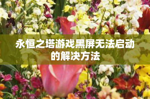 永恒之塔游戏黑屏无法启动的解决方法图片