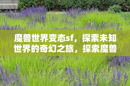 魔兽世界变态sf,探索未知世界的奇幻之旅,探索魔兽世界变态sf,奇幻之旅开启 魔兽世界变态sf,探索未知世界的奇幻之旅,探索魔兽世界变态sf,奇幻之旅开启