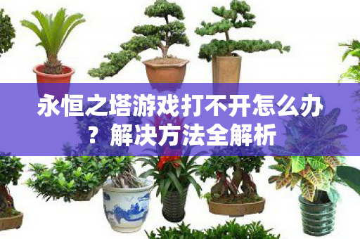 永恒之塔游戏打不开怎么办图片