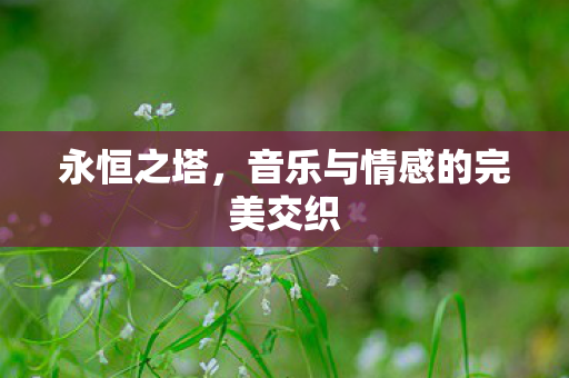 音乐与情感的完美交织图片