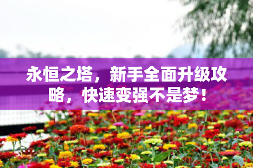 新手全面升级攻略图片