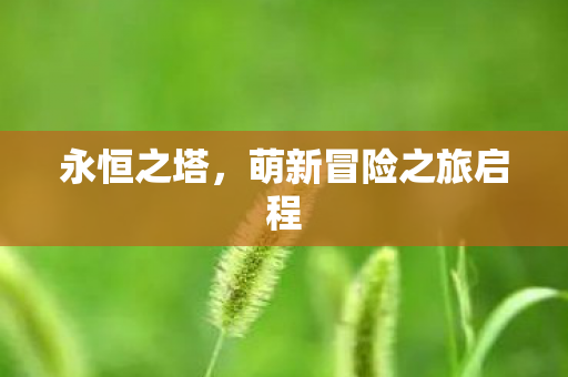 萌新冒险之旅启程图片