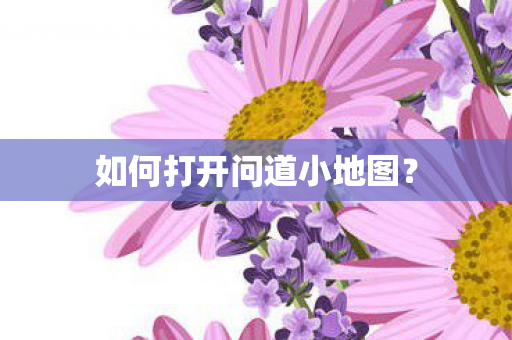 如何打开问道小地图图片